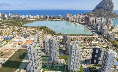 Attique - Nouvelle -
                Calpe - NBH-46069