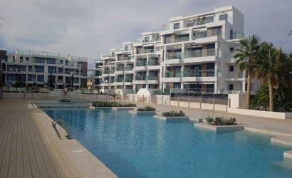 Attique - Nouvelle -
                Denia - NBH-71951