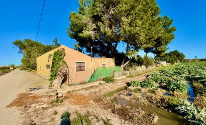 Country House - Tweedehands - Guardamar del Segura -
                Guardamar del Segura