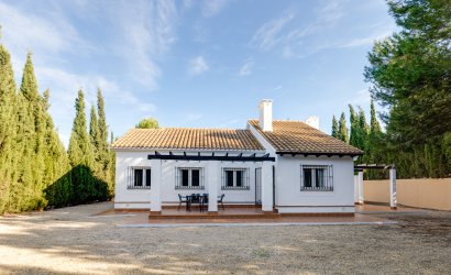 detached - Obra nueva - Fuente Alamo -
                Fuente Alamo