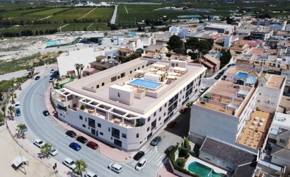 Gelijkvloers - Nieuwbouw - San Miguel de Salinas -
                San Miguel de Salinas