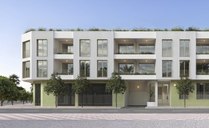 Ground-floor - New Build - Jacarilla -
                Jacarilla