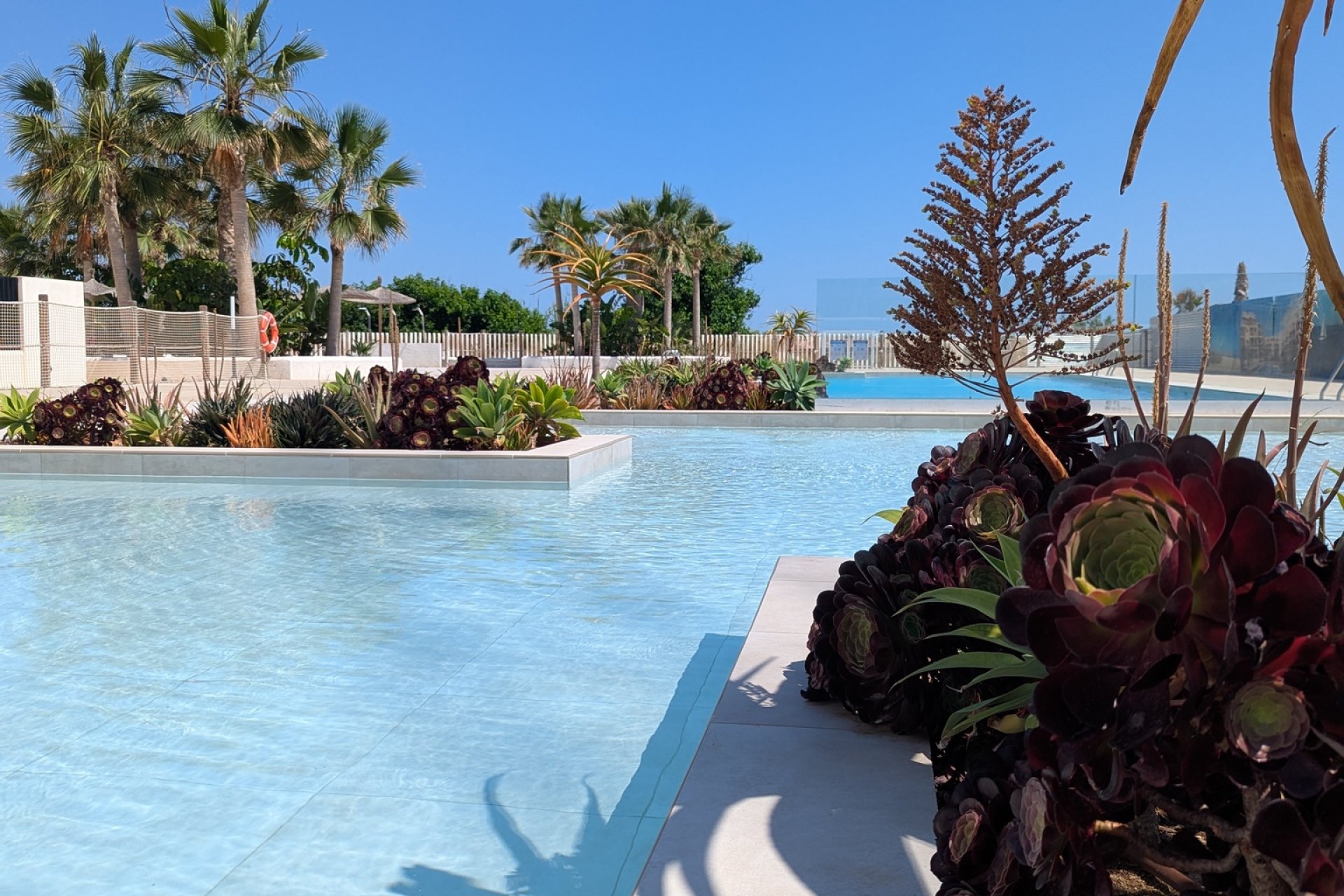New Build - apartment -
Denia