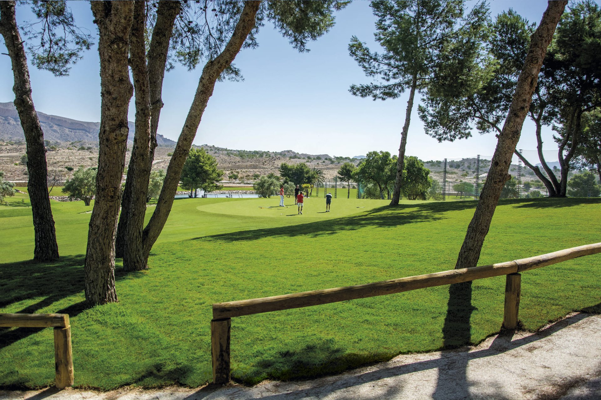 New Build - apartment -
Monforte del Cid