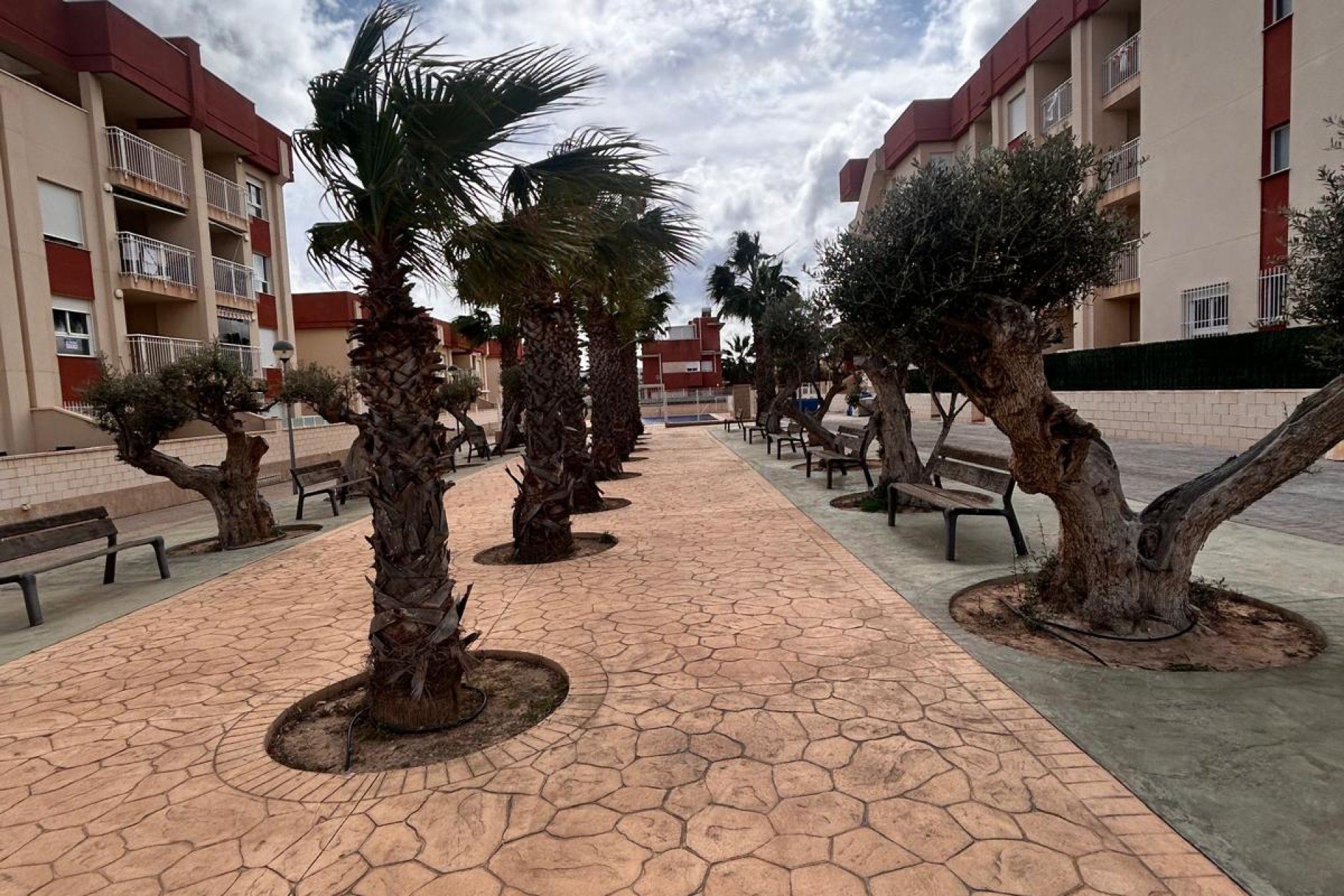 New Build - apartment -
Orihuela Costa
