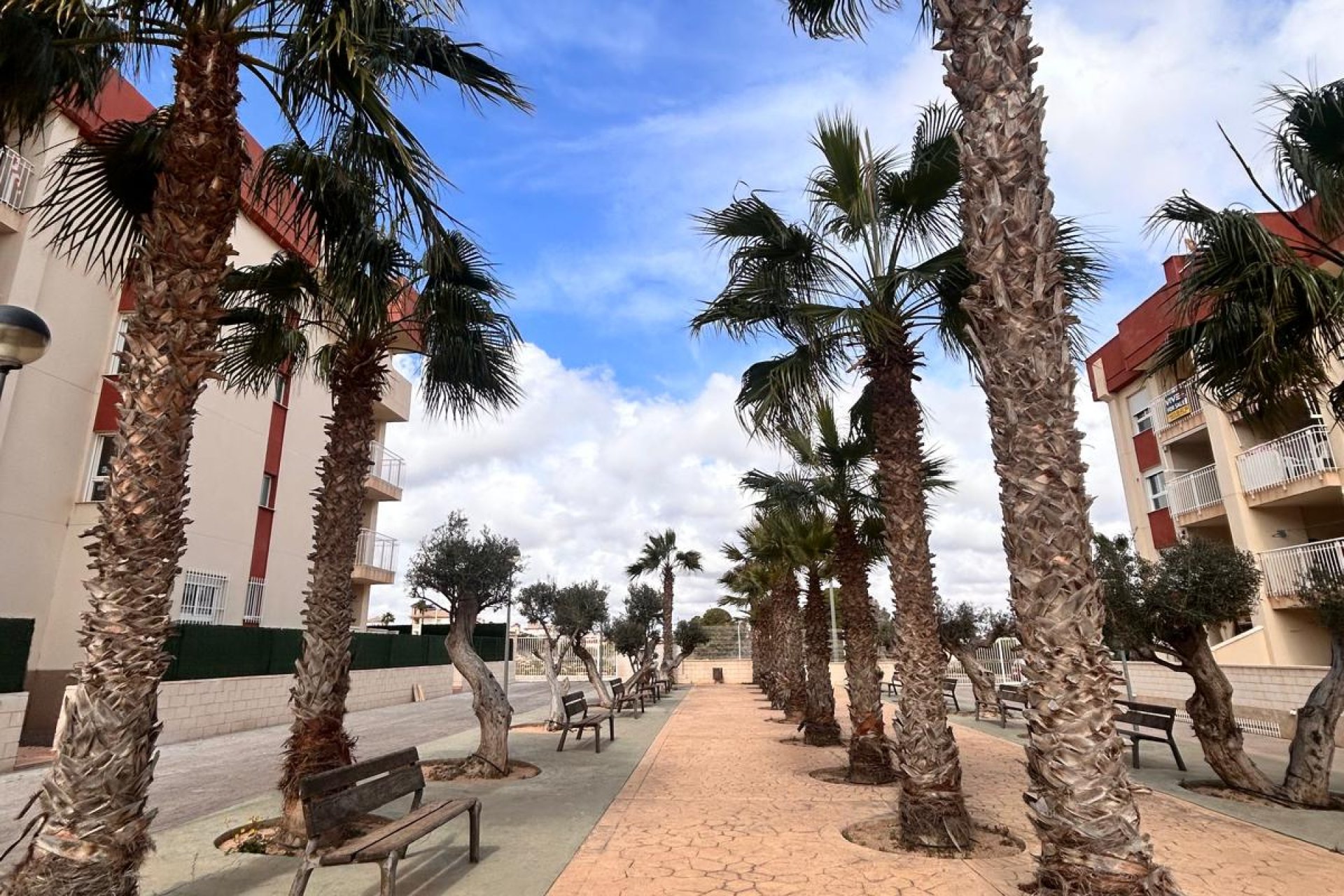 New Build - apartment -
Orihuela Costa