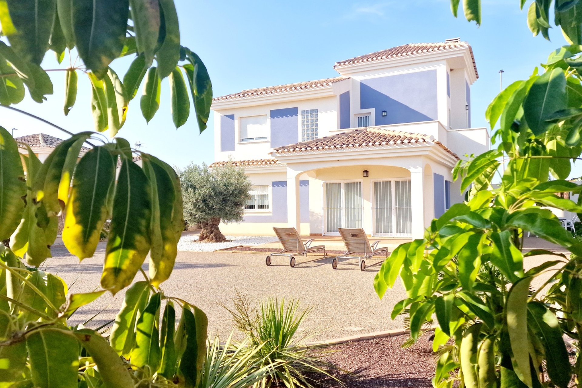 New Build - detached -
Purias