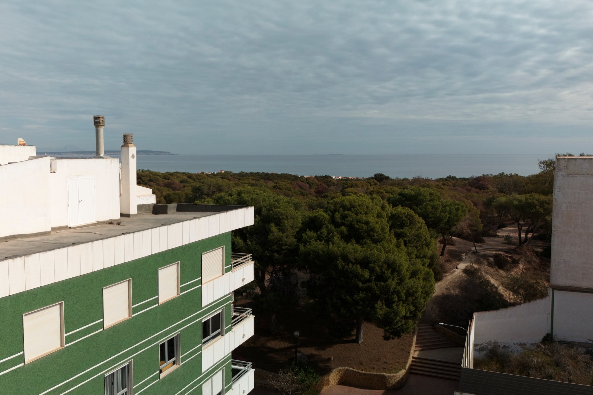 Nieuwbouw - apartment -
Guardamar del Segura