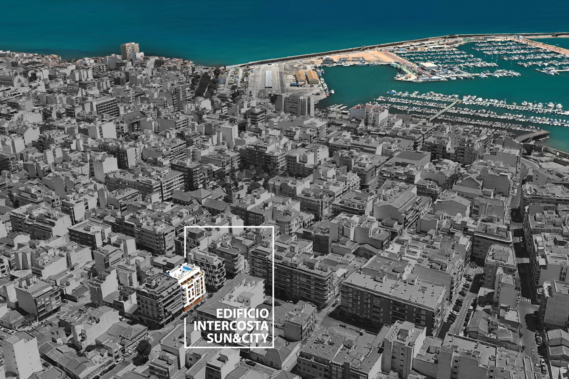 Nieuwbouw - apartment -
Torrevieja
