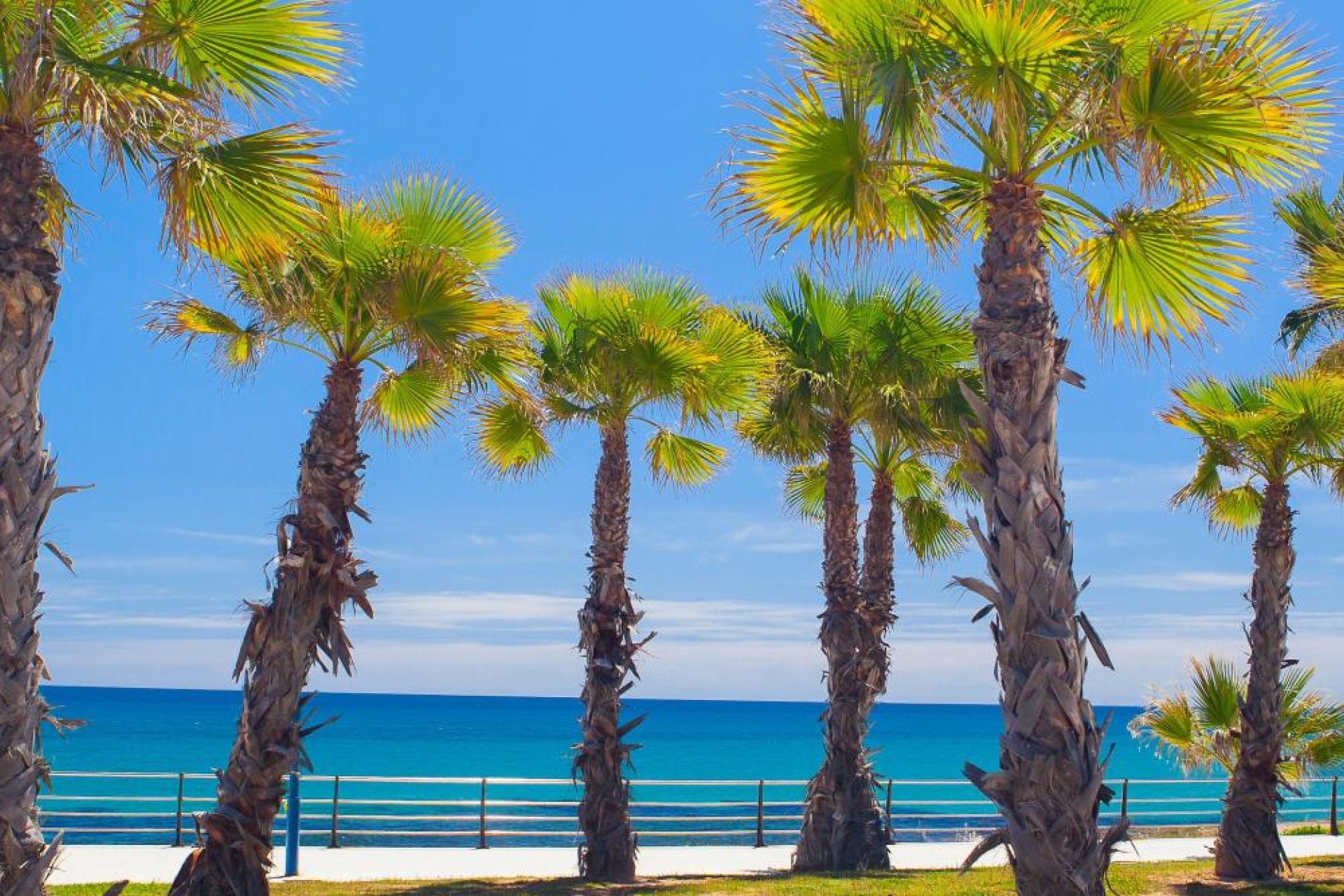 Nieuwbouw - ground-floor -
Cabo Roig
