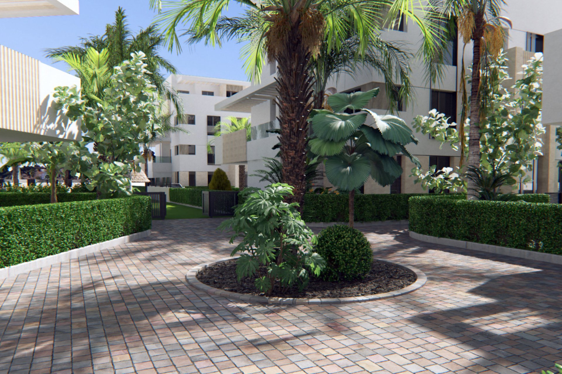Nieuwbouw - ground-floor -
Torre-Pacheco