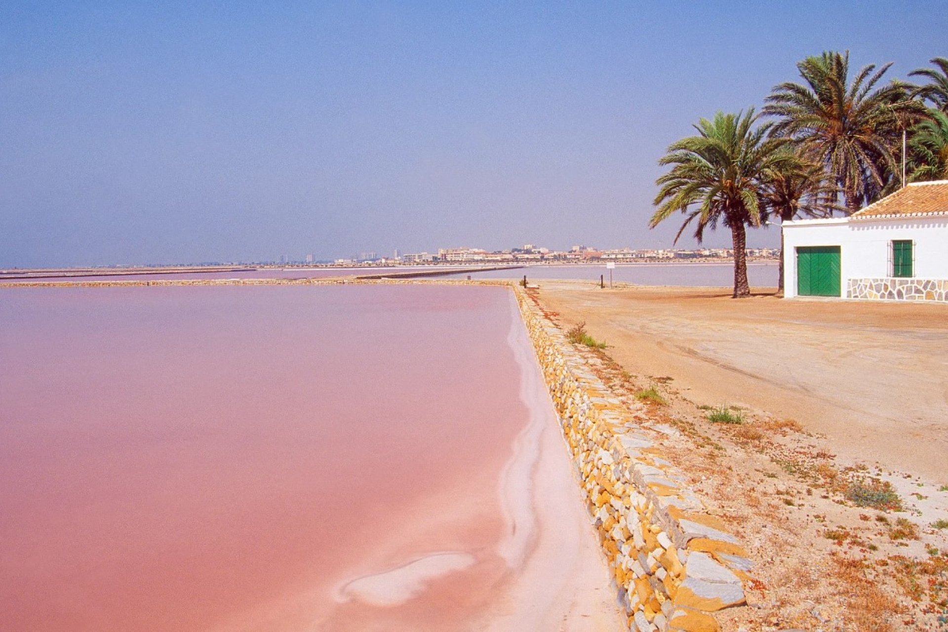 Nieuwbouw - low-bungalow -
San Pedro del Pinatar