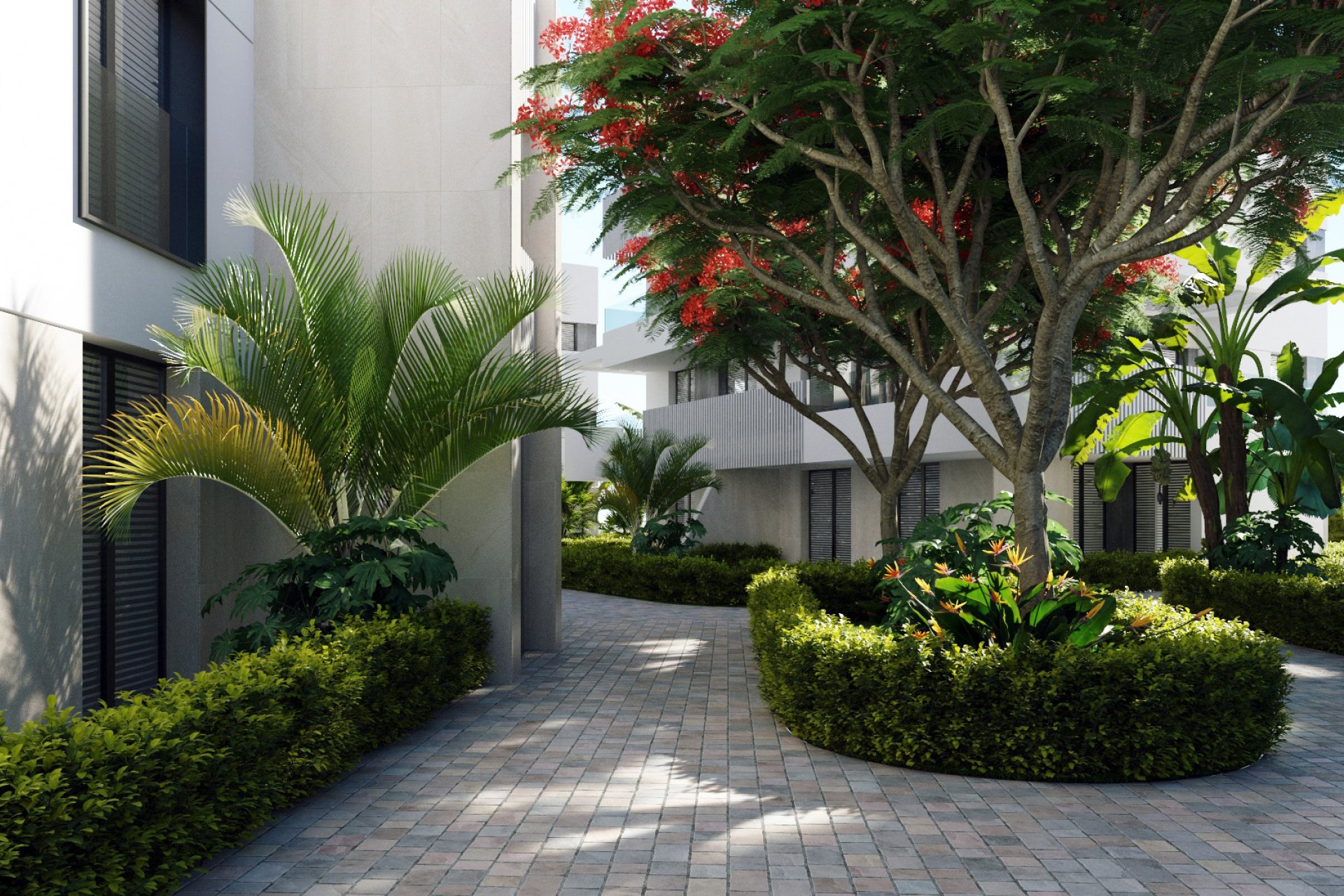 Nieuwbouw - Penthouse -
Santa Rosalía