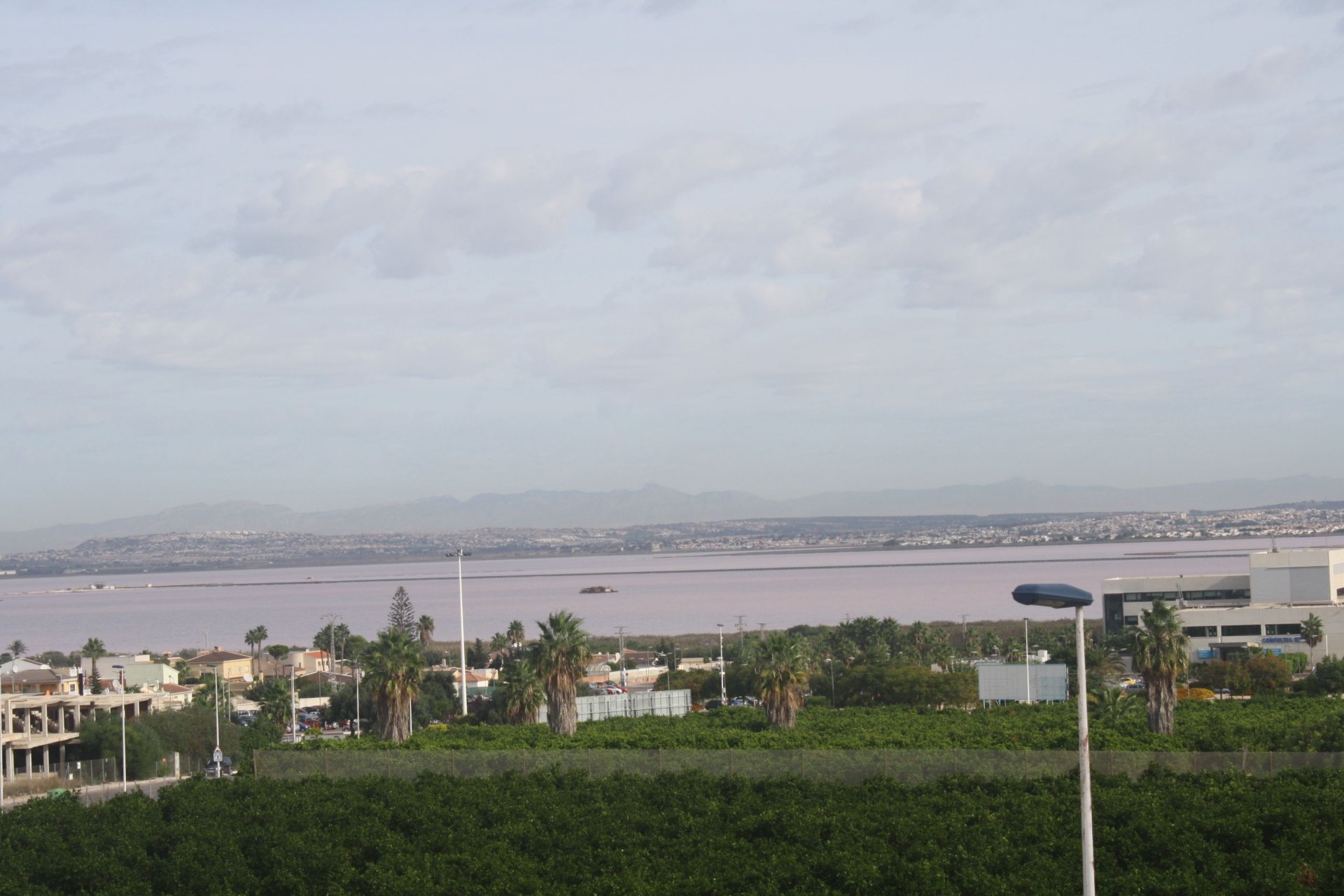 Nieuwbouw - semi-detached -
Torrevieja
