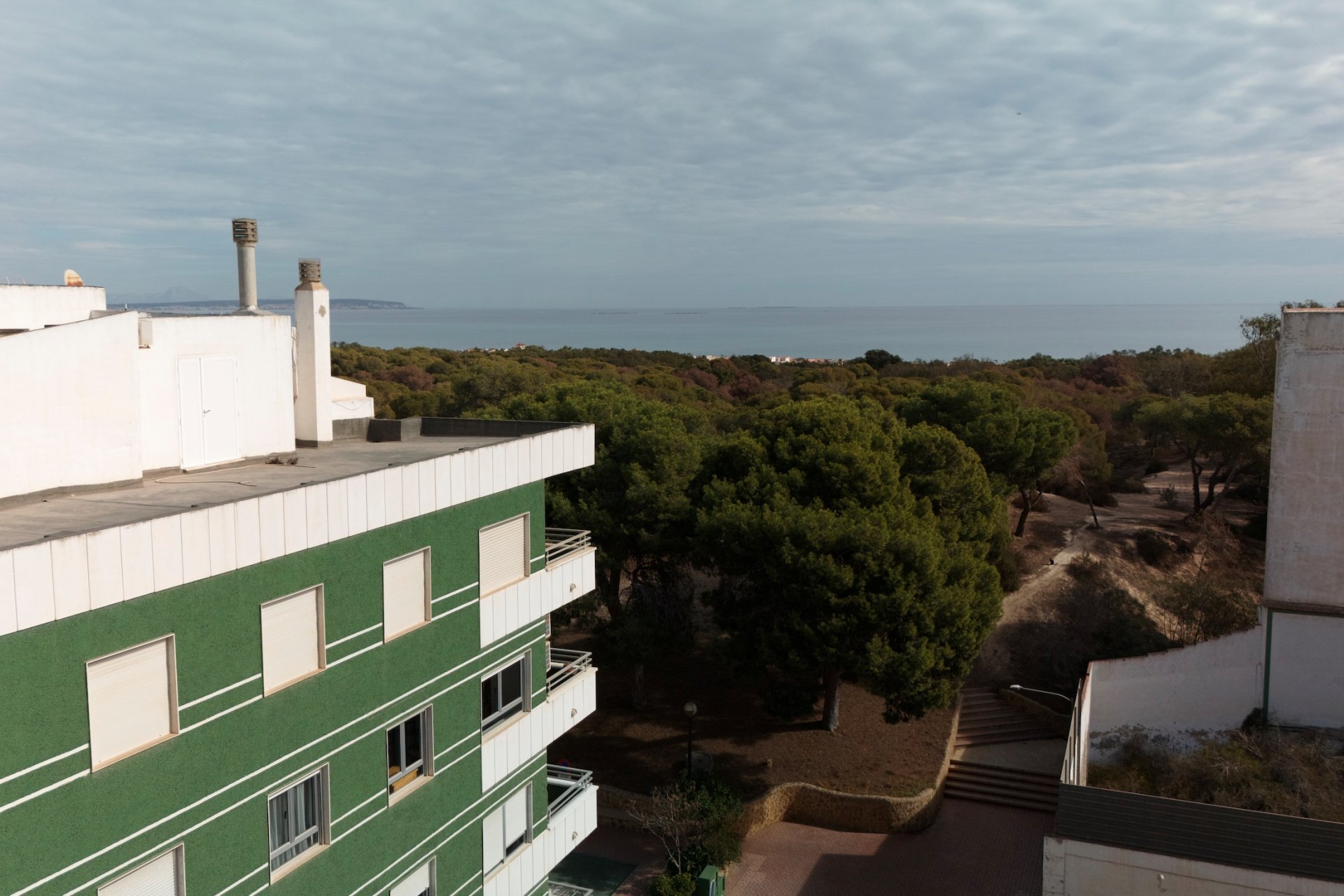 Nouvelle - apartment -
Guardamar del Segura