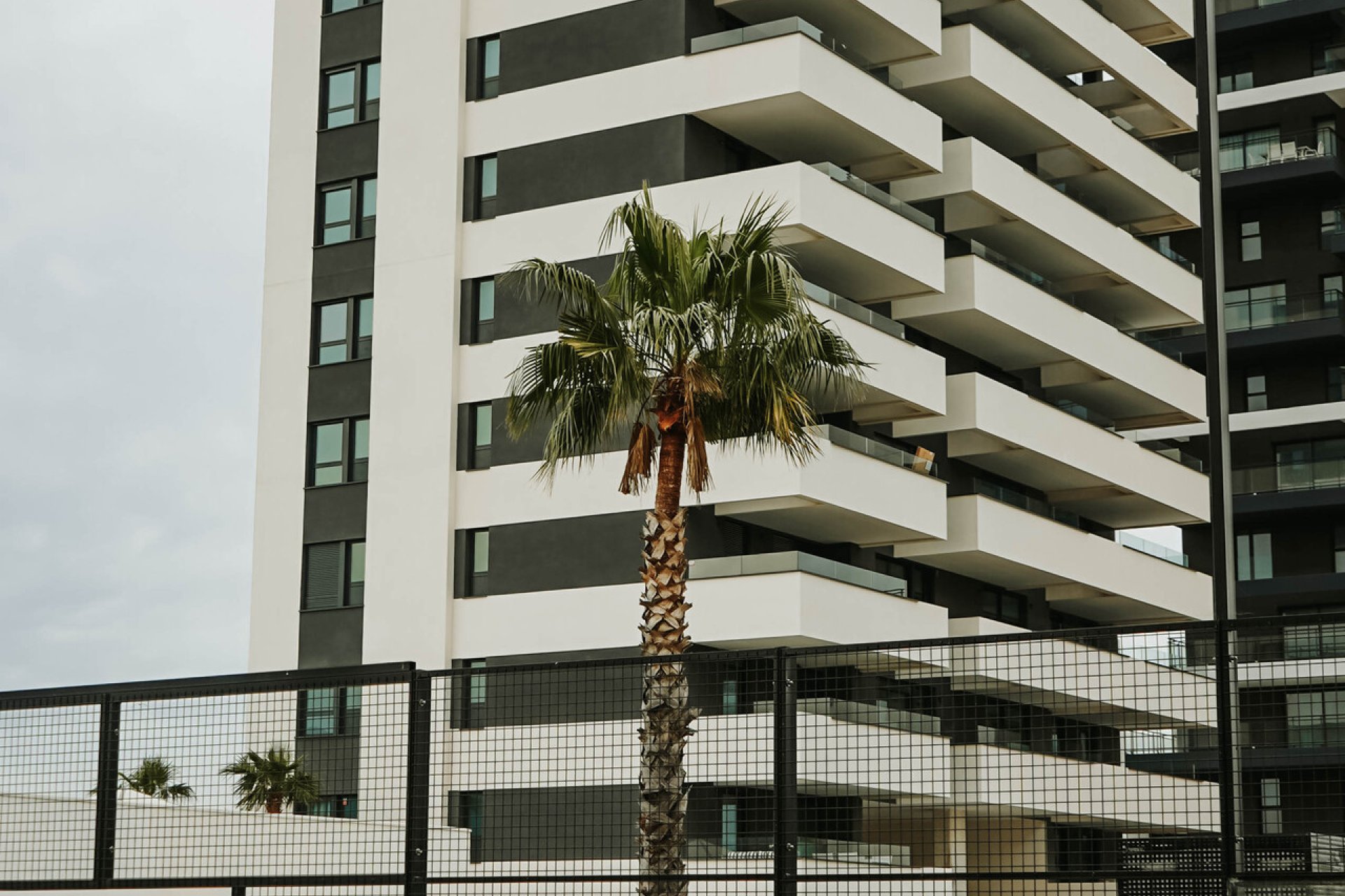 Nouvelle - Attique -
Calpe