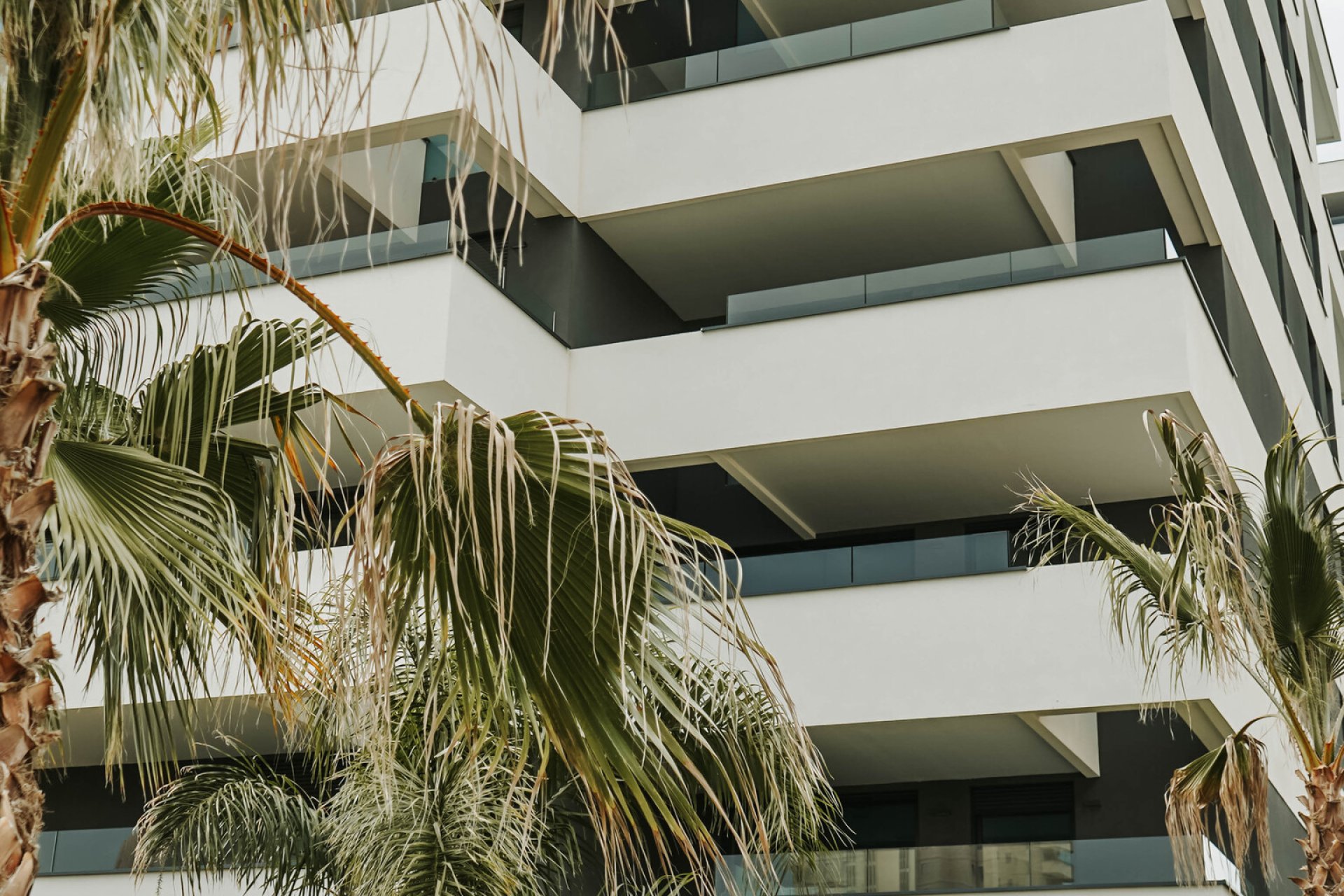 Nouvelle - Attique -
Calpe