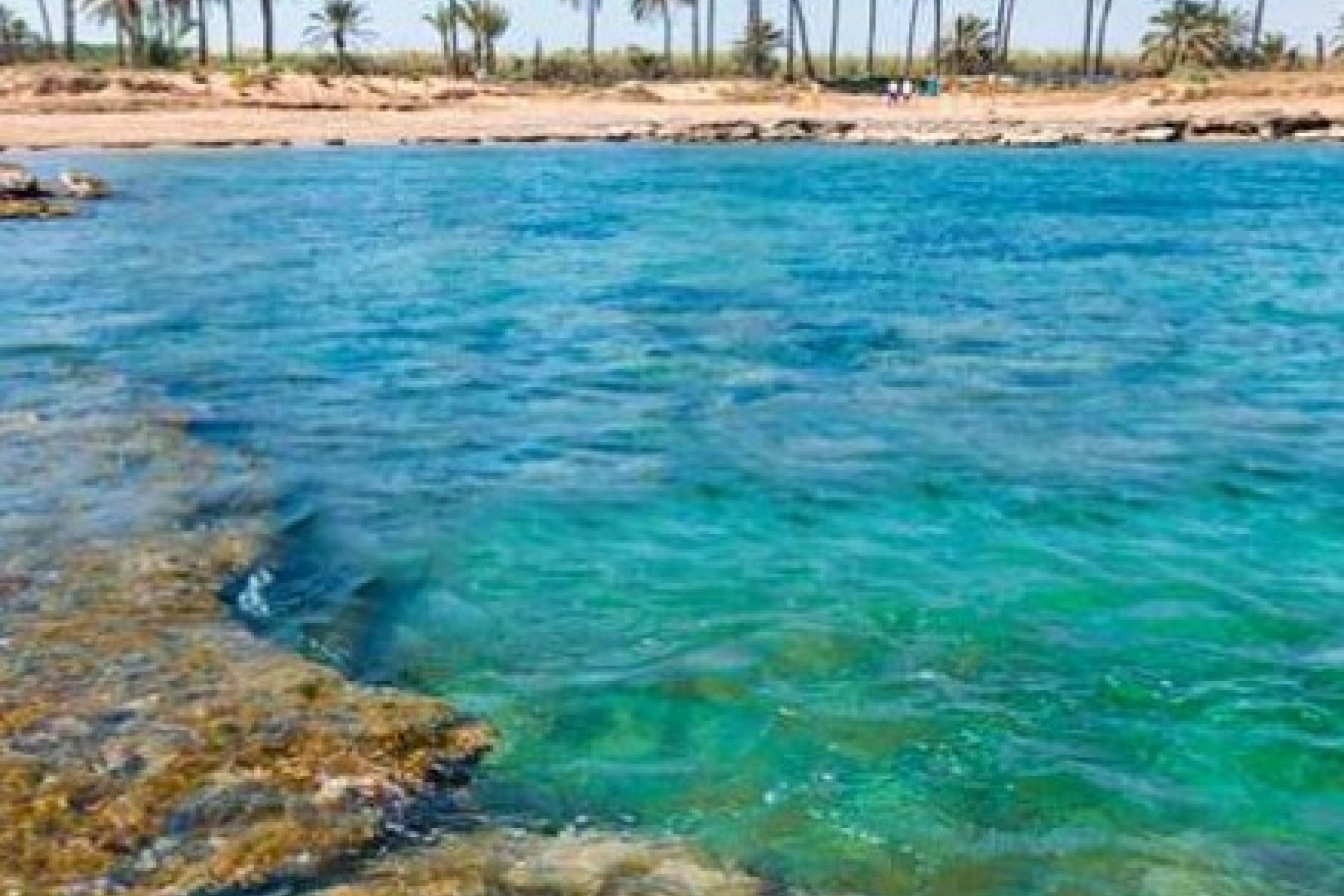 Nouvelle - Attique -
Torrevieja