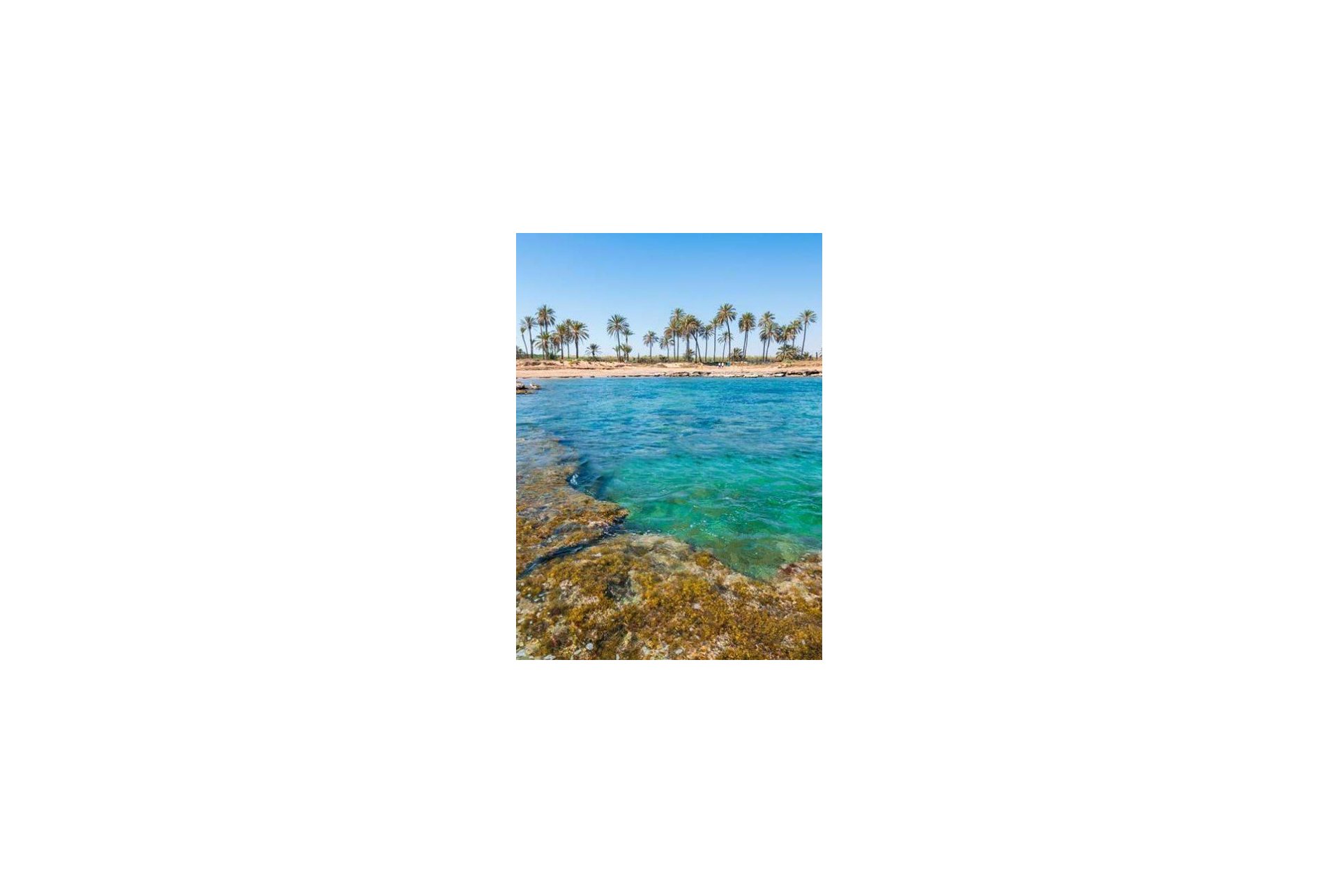 Nouvelle - Attique -
Torrevieja