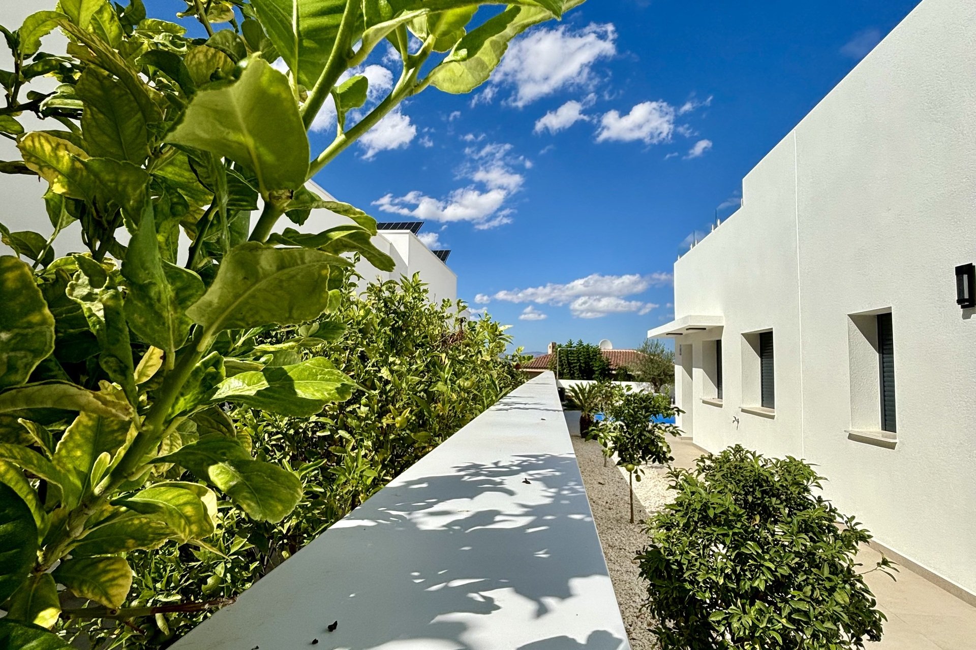 Nouvelle - detached -
Benijofar