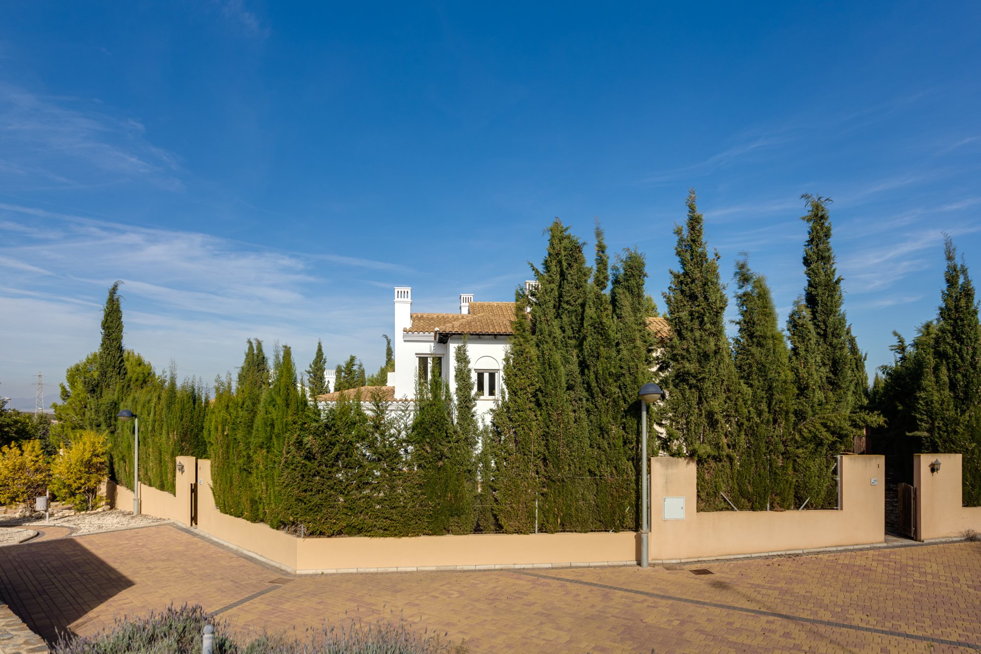 Nouvelle - detached -
Fuente Alamo