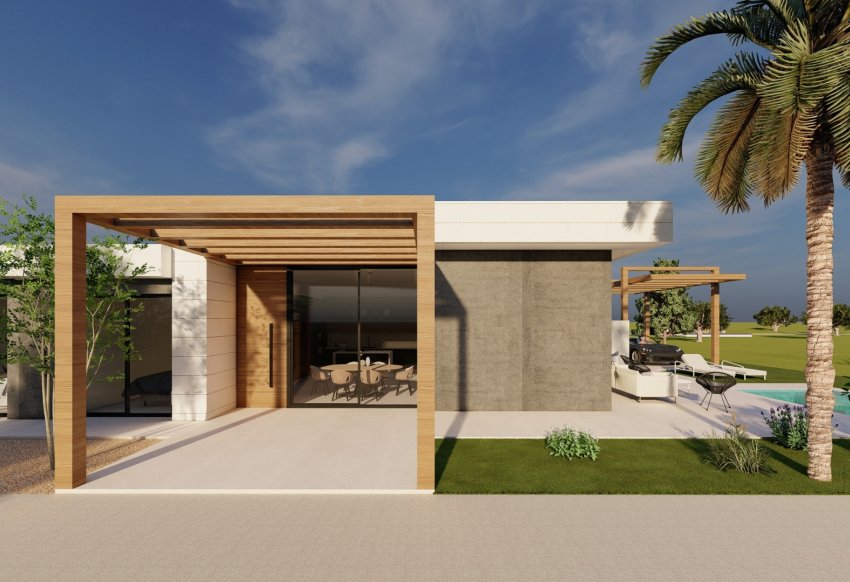Nouvelle - detached -
Pilar de la Horadada