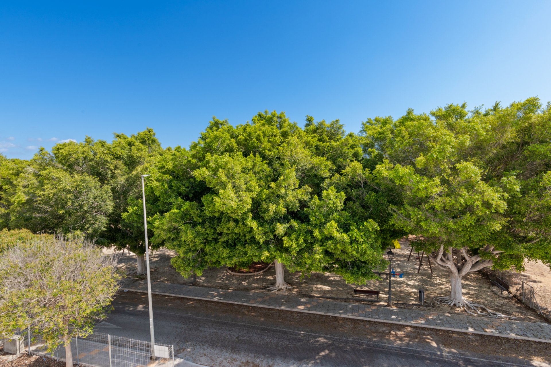 Nouvelle - Villa -
Mil Palmeras