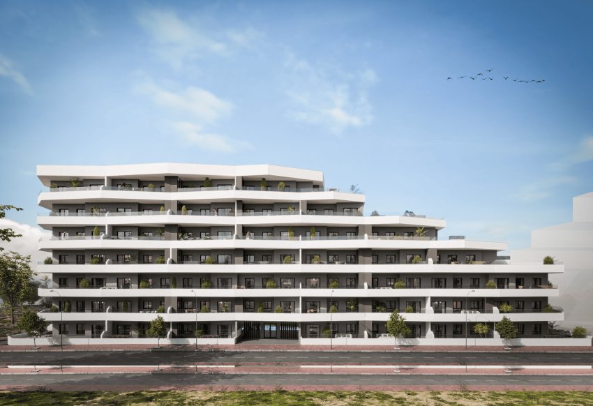 Obra nueva - apartment -
San Miguel de Salinas