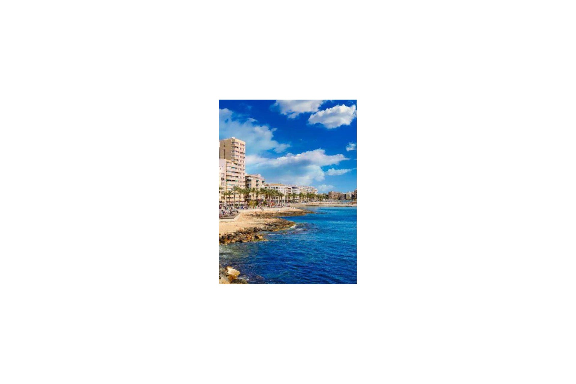 Obra nueva - apartment -
Torrevieja