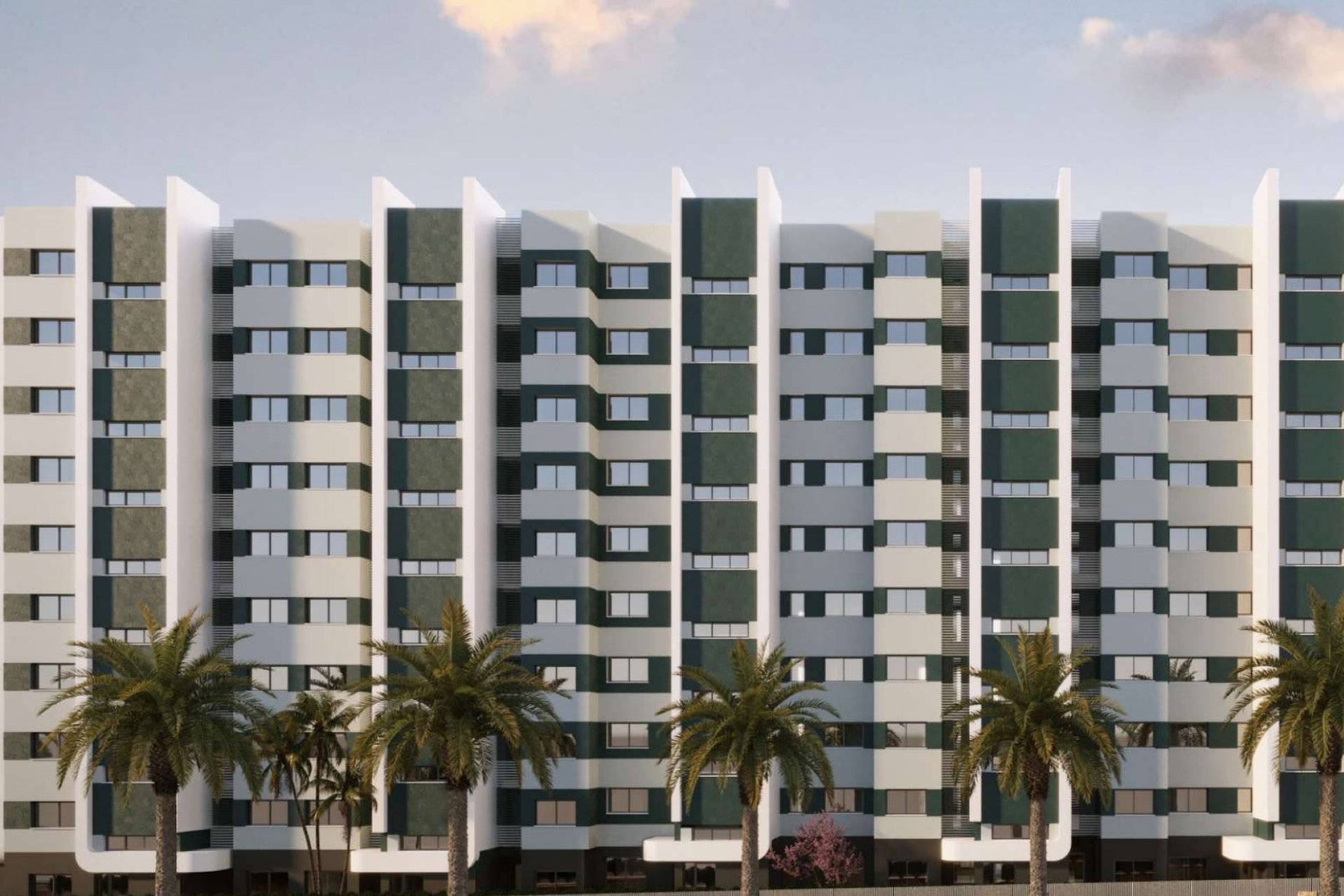 Obra nueva - apartment -
Torrevieja