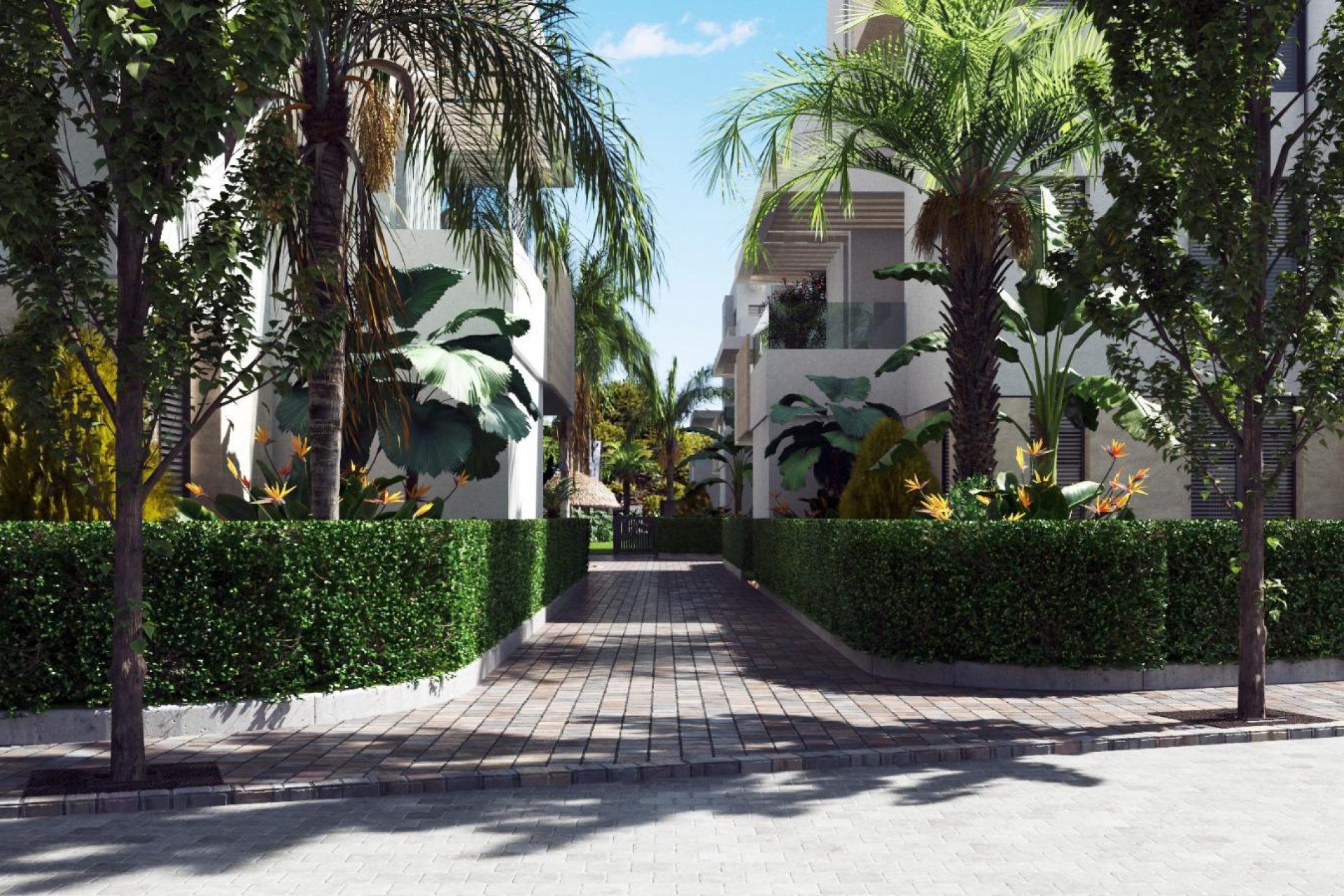 Obra nueva - Ático -
Torre-Pacheco