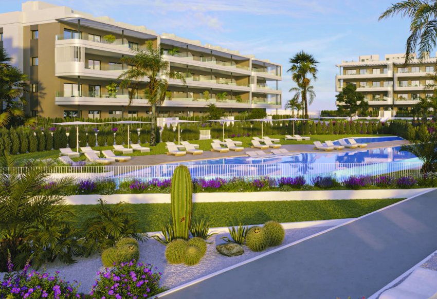 Obra nueva - Ático -
Torrevieja