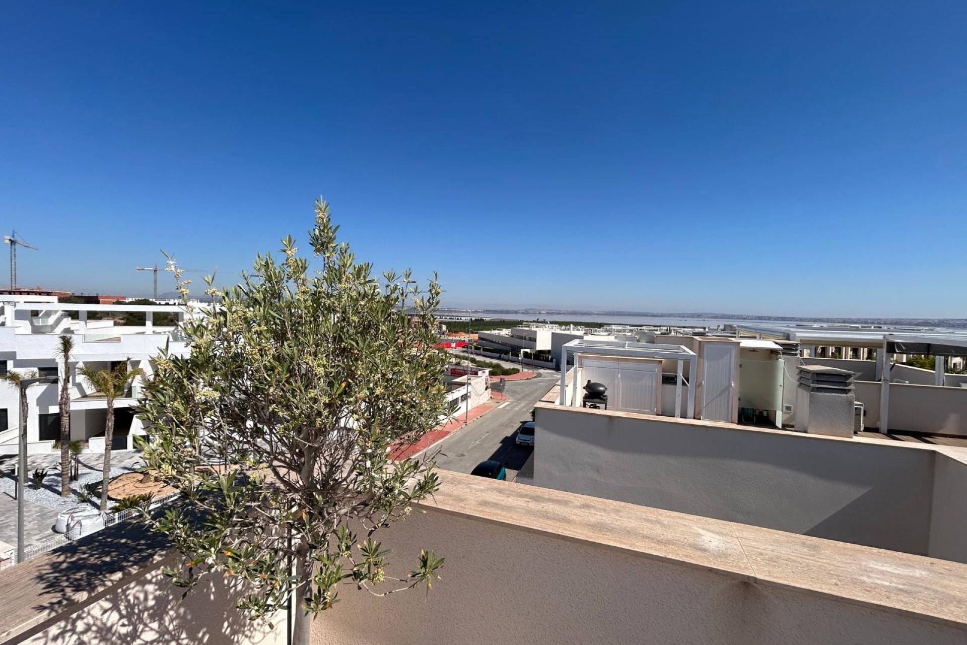 Obra nueva - Ático -
Torrevieja