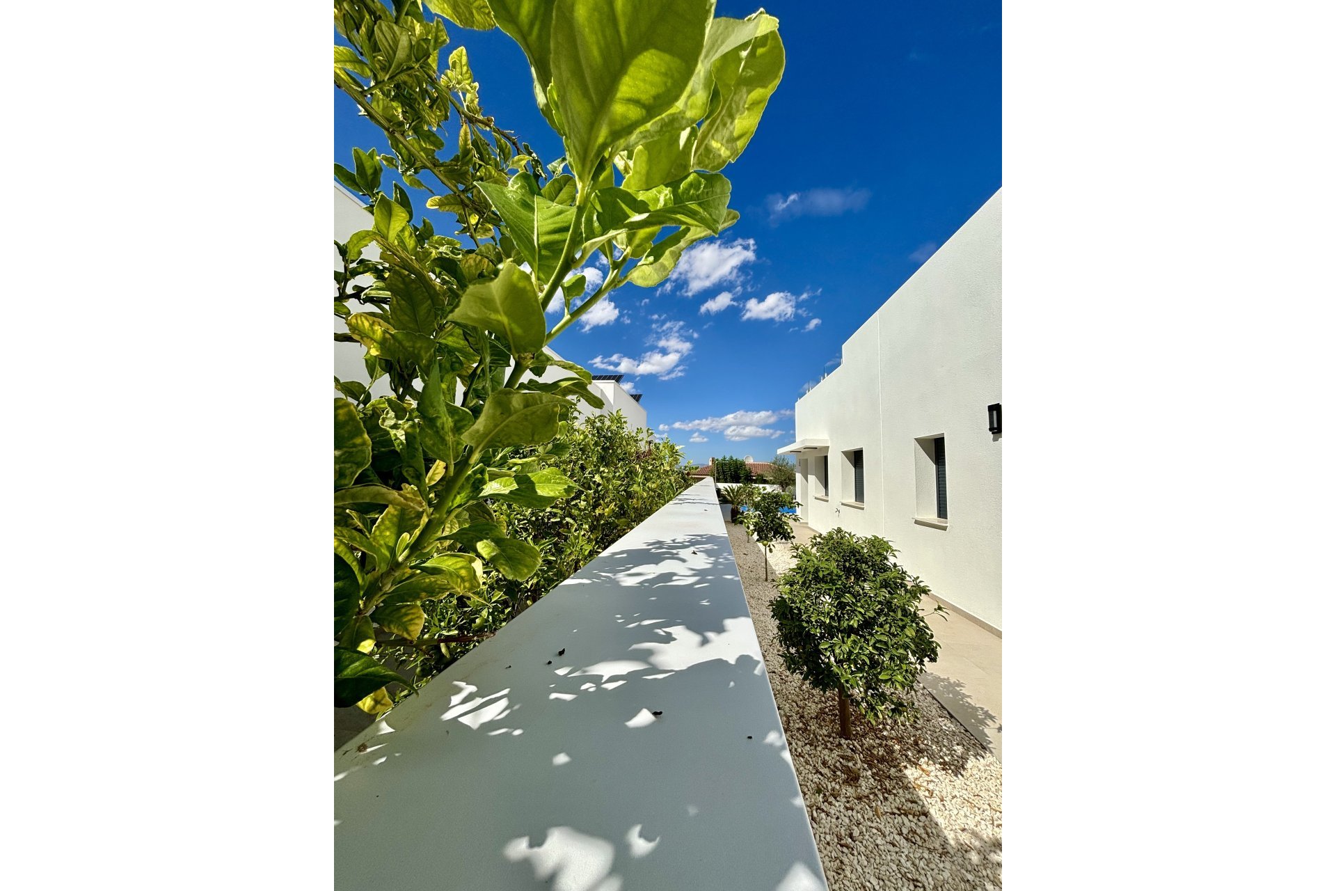 Obra nueva - detached -
Benijofar