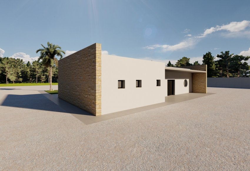 Obra nueva - detached -
El Pinós