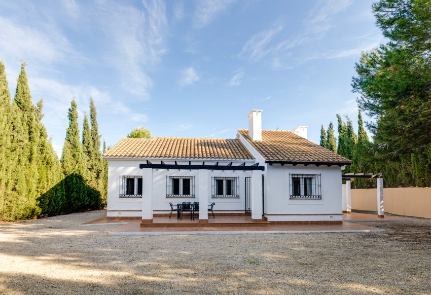 Obra nueva - detached -
Fuente Alamo