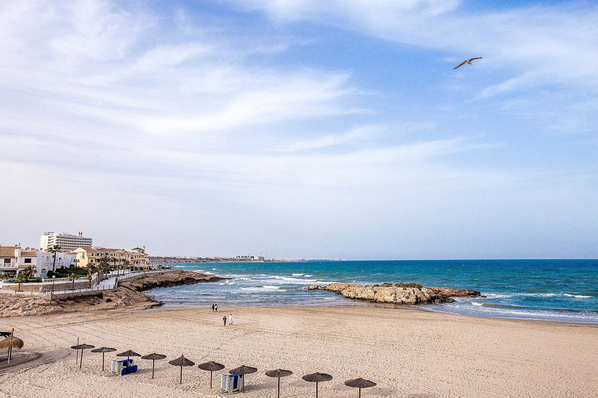 Obra nueva - detached -
La Zenia