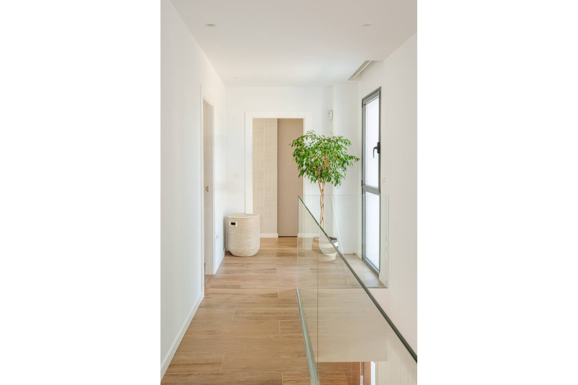 Obra nueva - detached -
Molina de Segura