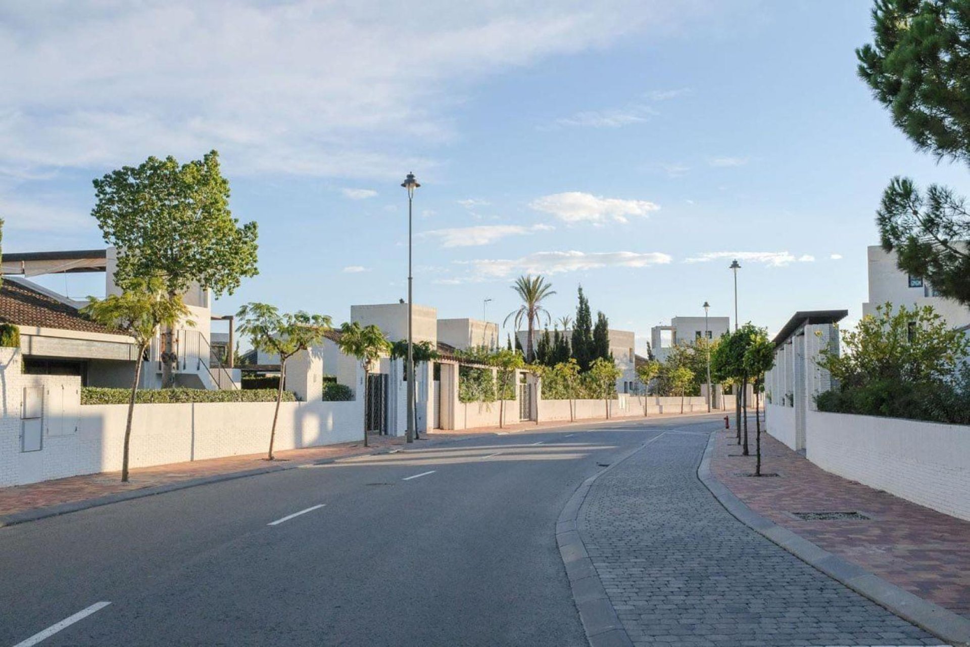 Obra nueva - detached -
Murcia