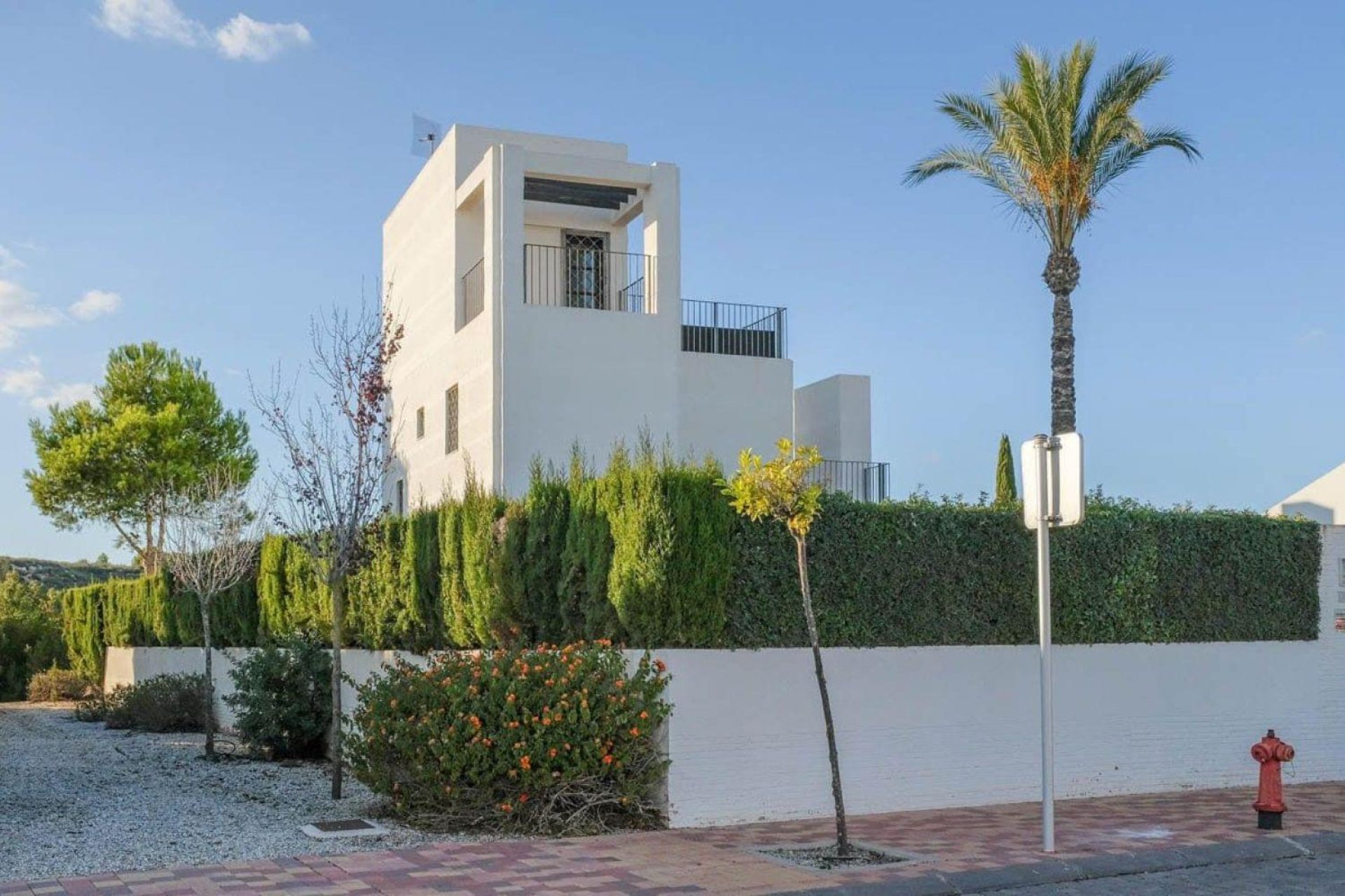 Obra nueva - detached -
Murcia