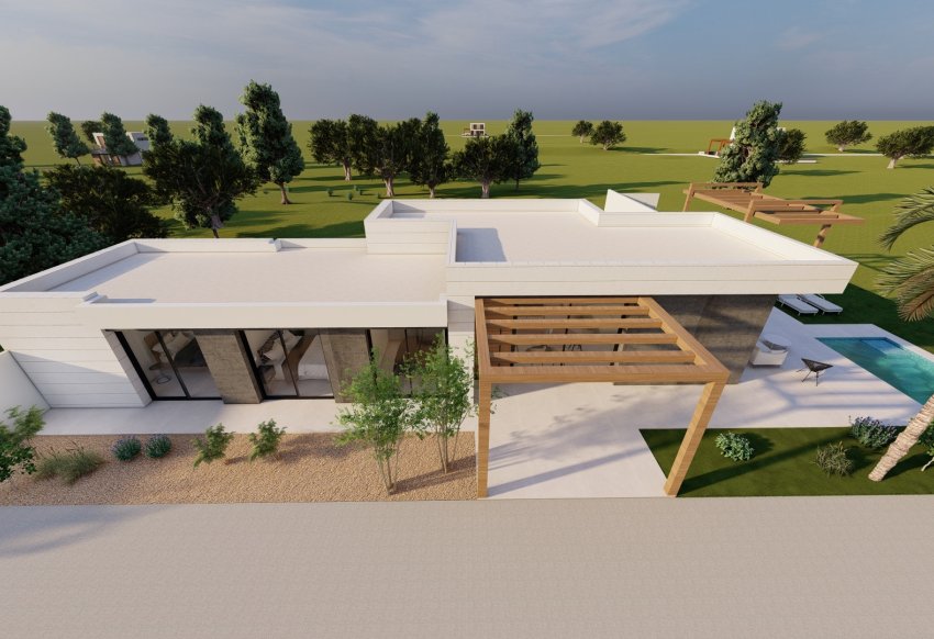 Obra nueva - detached -
Pilar de la Horadada