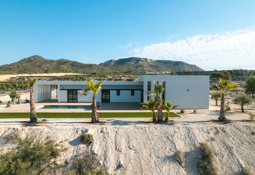 Obra nueva - detached -
Pinoso