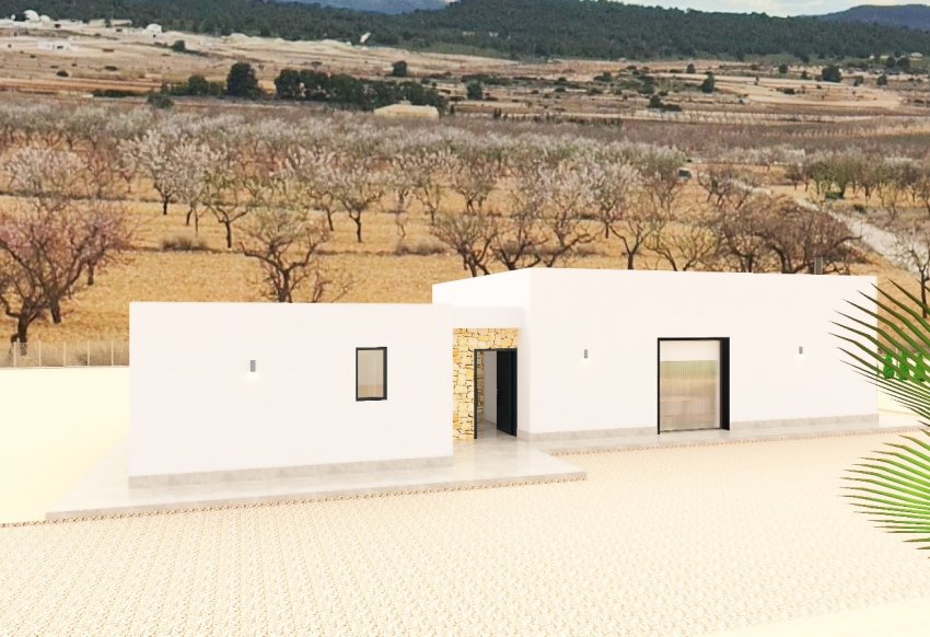 Obra nueva - detached -
Pinoso