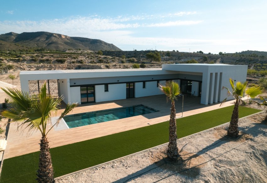 Obra nueva - detached -
Pinoso