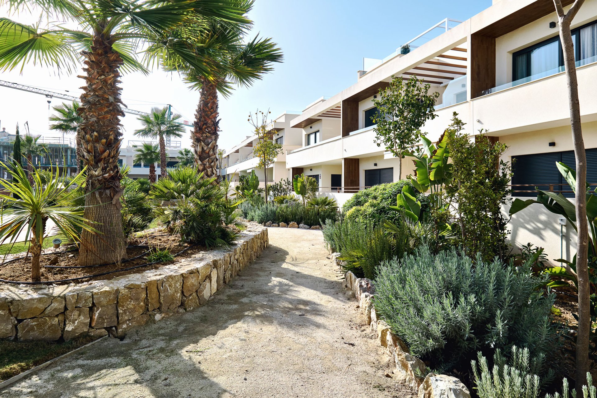 Obra nueva - high-bungalow -
Torrevieja