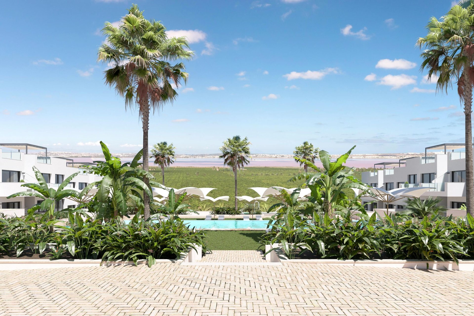 Obra nueva - high-bungalow -
Torrevieja