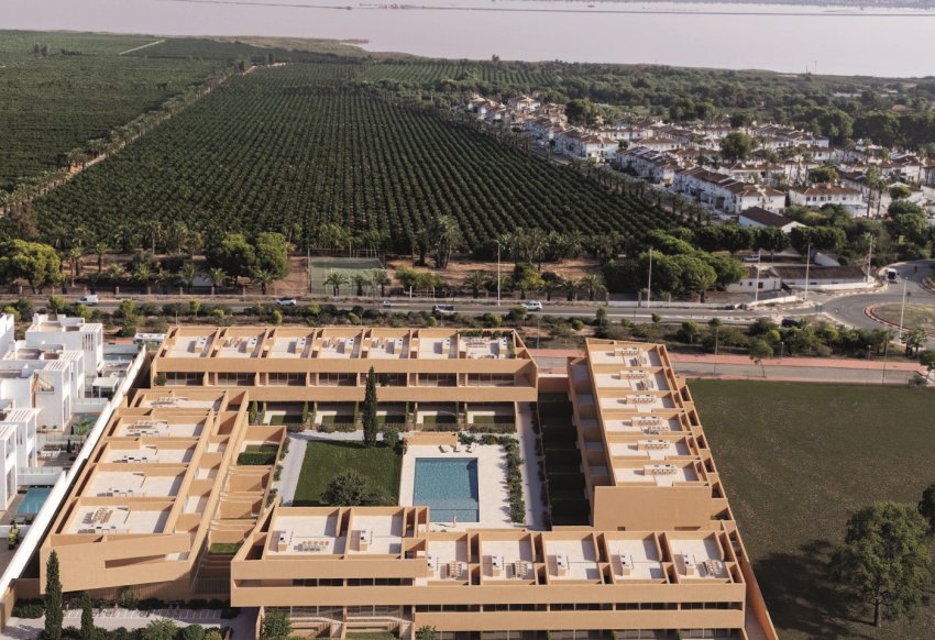 Obra nueva - low-bungalow -
Torrevieja