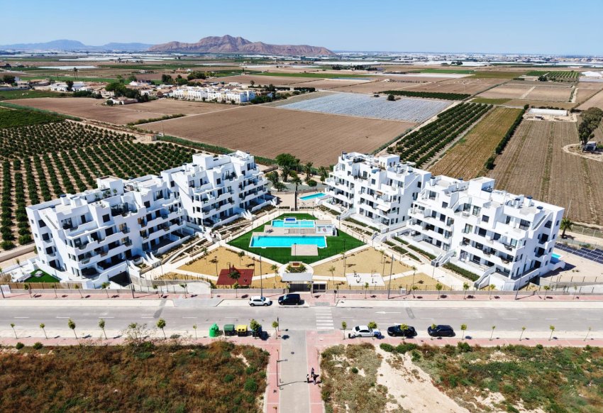 Obra nueva - Planta Baja -
Torre-Pacheco