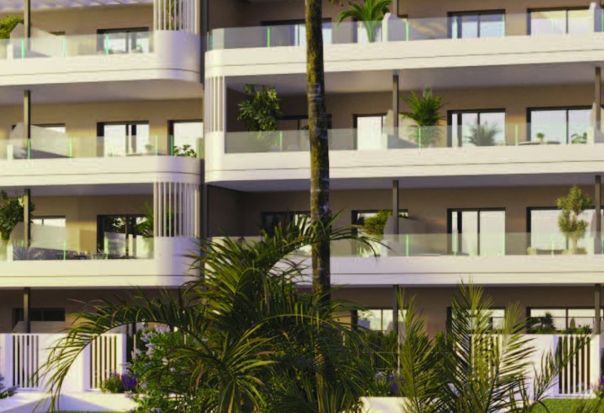 Obra nueva - Planta Baja -
Torrevieja