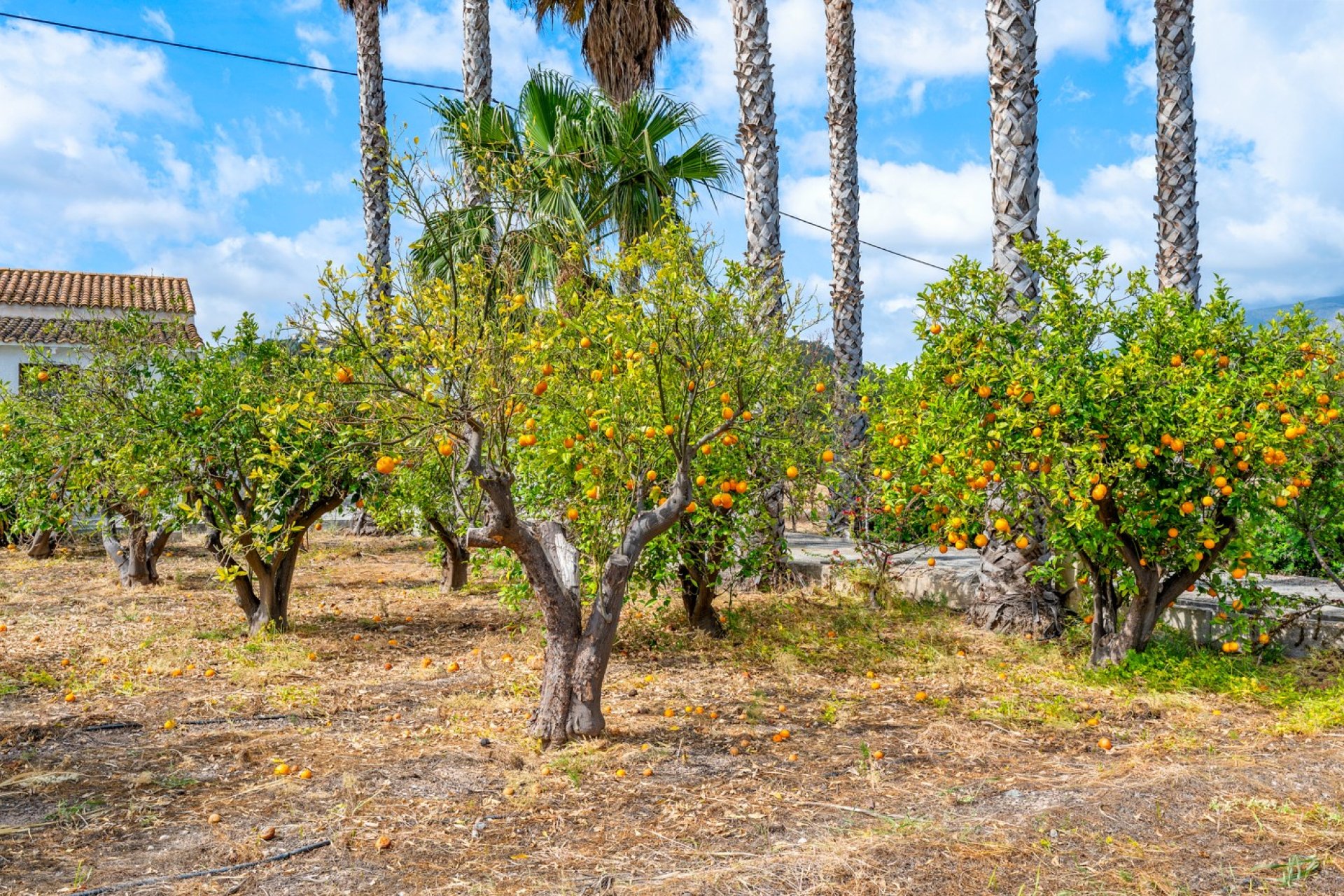 Resale - Country House -
La Nucía